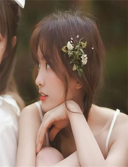 《海豚的故事》评价怎么样？专业评分与观众口碑对比